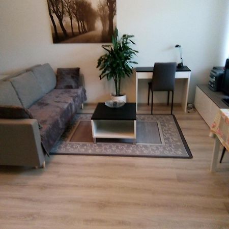 Parantolankatu Modern One Room Apartment Hyvinkää Extérieur photo
